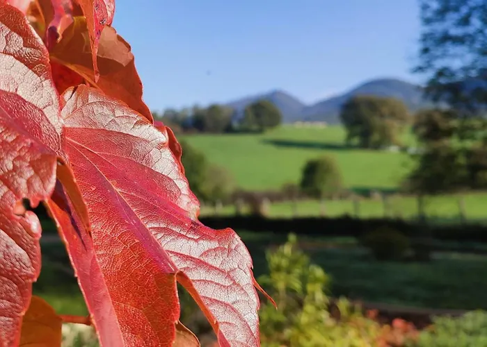 Bed & Breakfast Terres De La Grange
